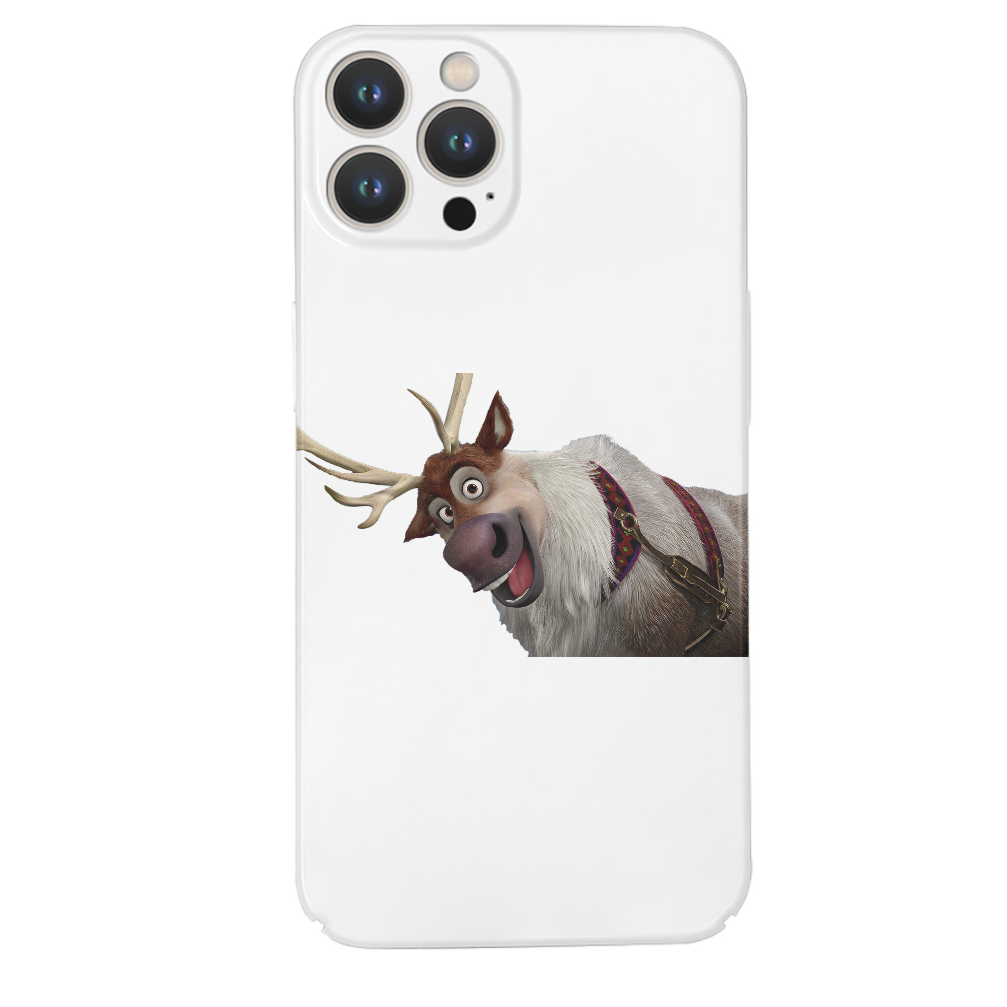 （画像用） アナと雪の女王 アンナ エルサ Frozen Anna Elsa 【iPhone 14シリーズ対応】ハードケース